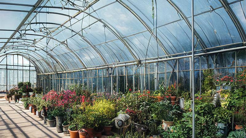 Greenhouse glazing