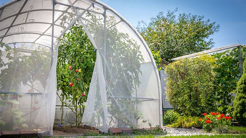 Greenhouse Insulation and Cooling