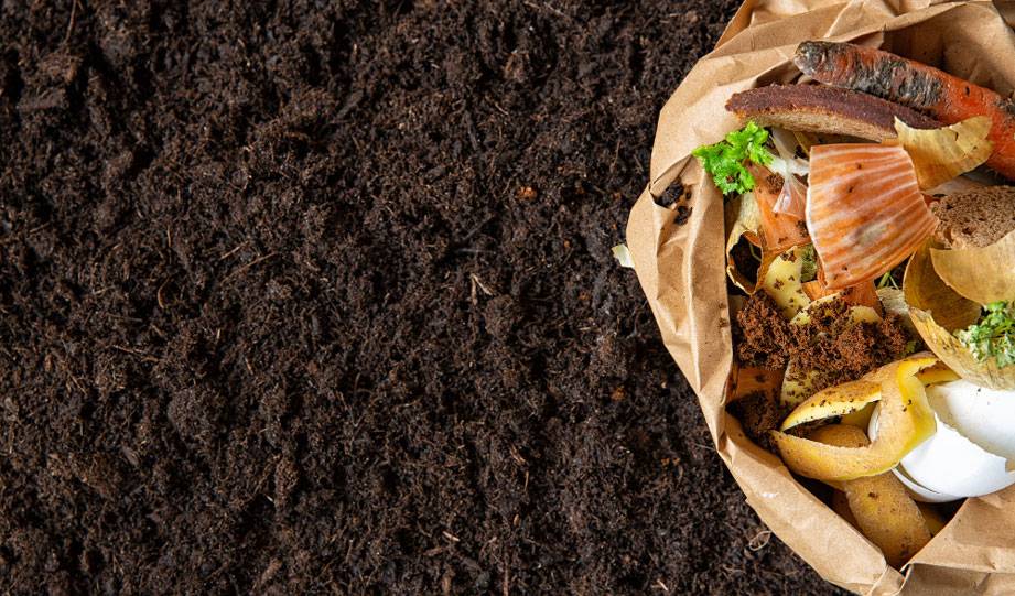 Hamilton Is the First Massachusetts Town That Mandates Composting