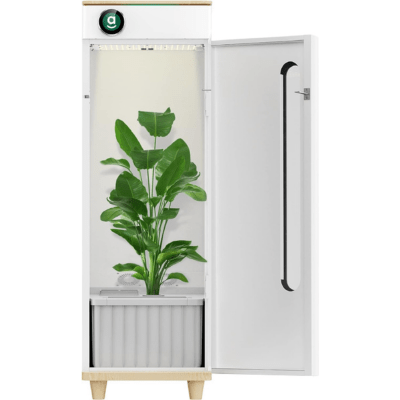 Hey Abby Grow Box OG Hydroponic System