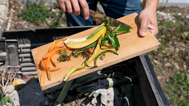 How Backyard Composting Works