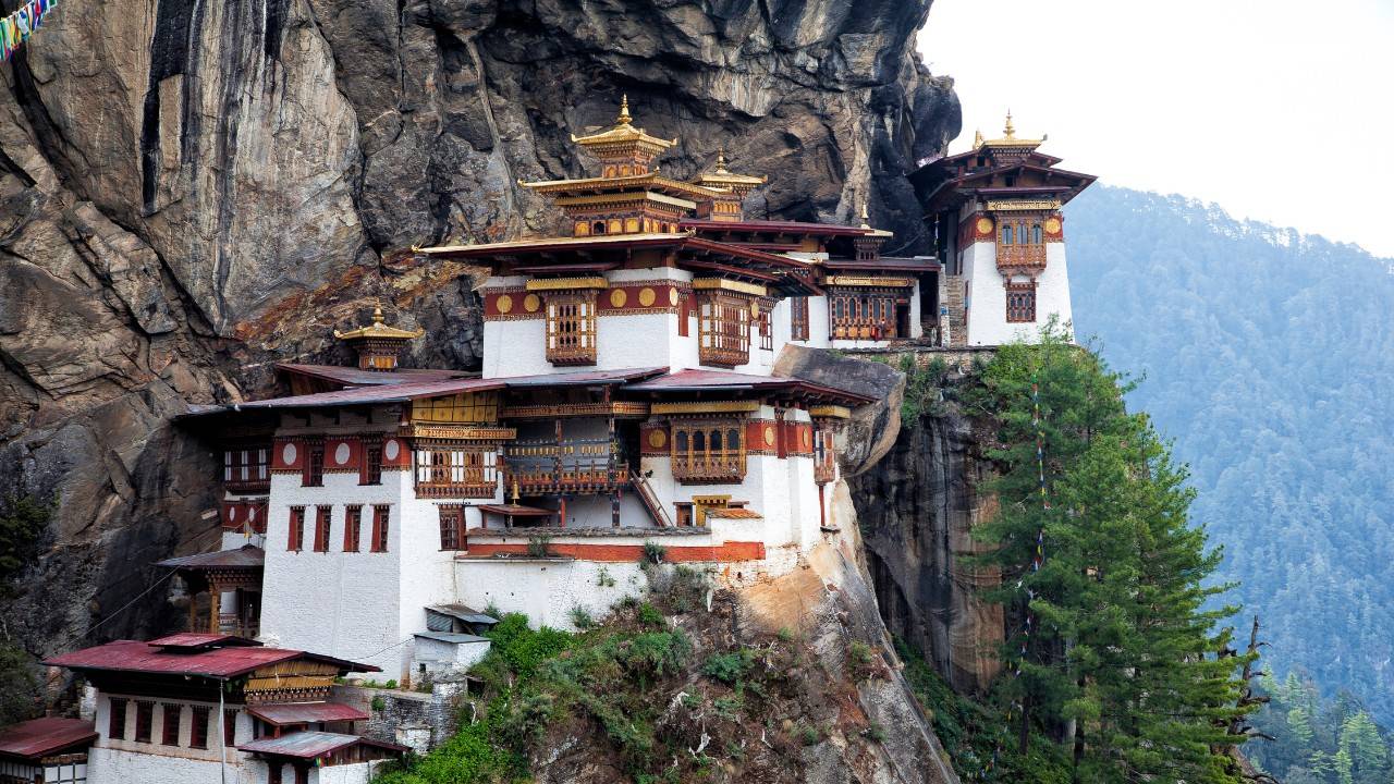 How Bhutan Became The Only Carbon Negative Country In The World