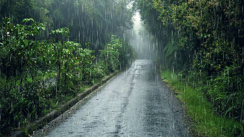 How Rainways Are Revitalizing Vancouver's Lost Waterways