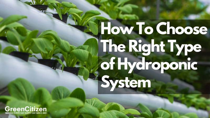 How To Choose The Right Type of Hydroponic System