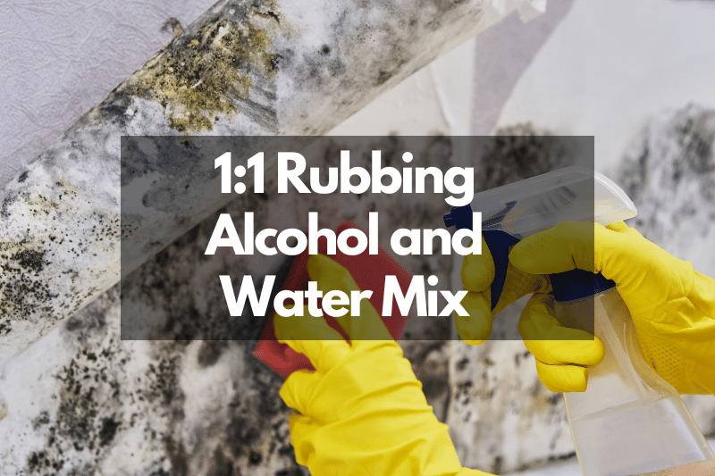 How To Kill Mold with Alcohol