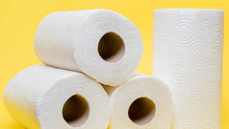 How Quickly Do Paper Towels Decompose