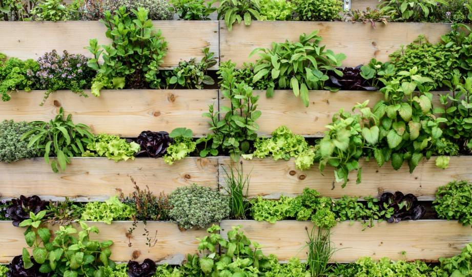 How to Assemble Your Own Vertical Garden Structure