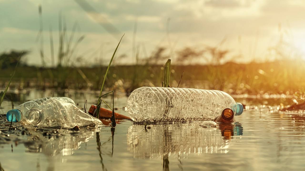 Hungary's Battle Against River Pollution: The “Plastic Cup” Event