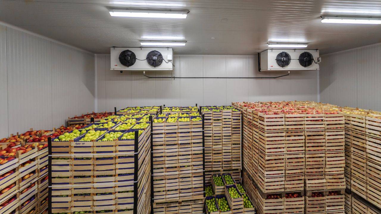 Indian farmers use solar fridges