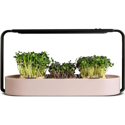 Ingarden Organic Microgreens Starter Kit