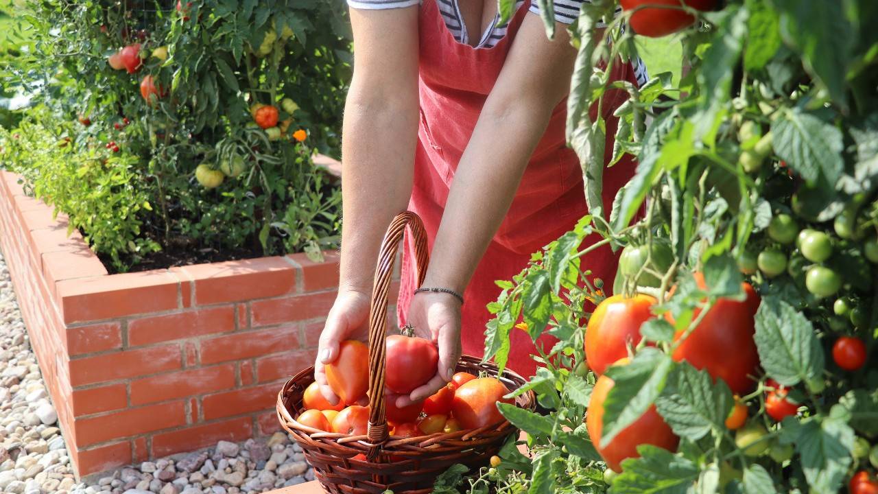 Inspiring Australian Woman Grows Food Year-Round in Her Suburban Permaculture Garden