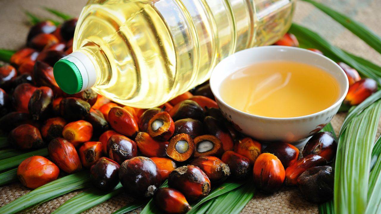 Kellog’s Vows Not To Use Unsustainable Palm Oil