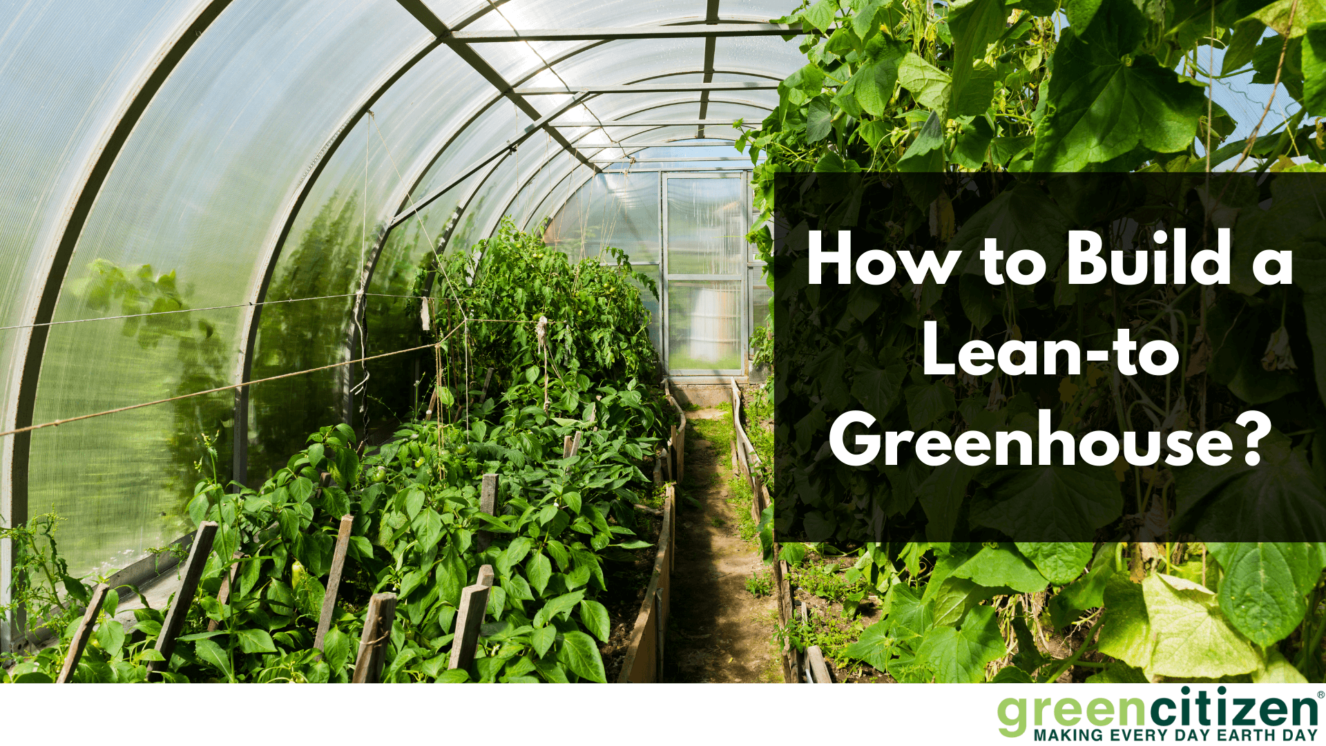 Lean-to Greenhouse