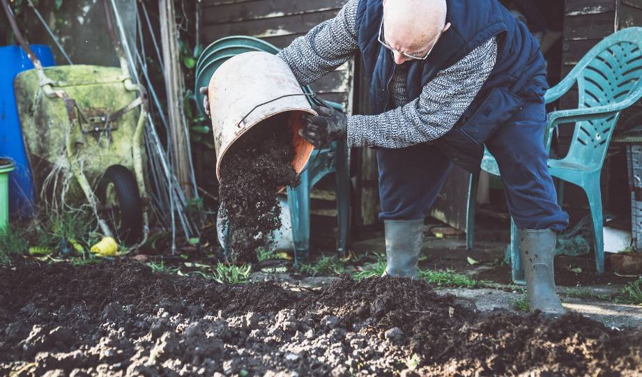 Maintaining Your No-Dig Garden Adding More Layers