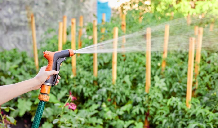 Maintaining Your No-Dig Garden Watering