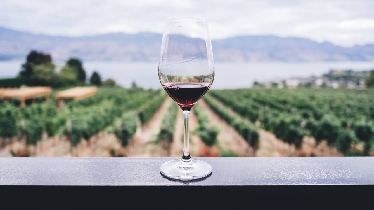 Make Your Favorite Wine a Sustainable One