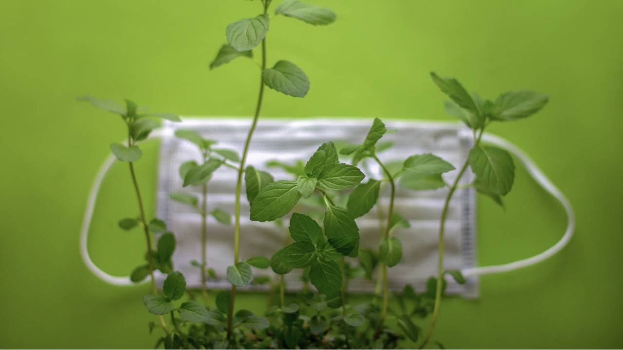 Marie Bee Bloom Takes Compostable Face Masks To a New Level