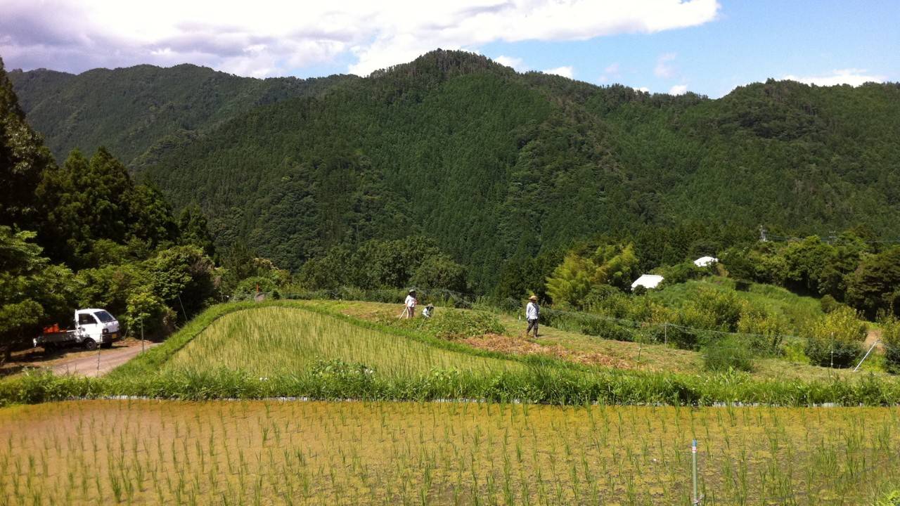 Meet Kamikatsu — Japan’s Town With A Zero Waste Policy