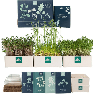 Microgreens Growing Kits