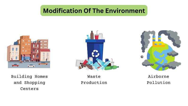 Modification of The Environment human environment interaction