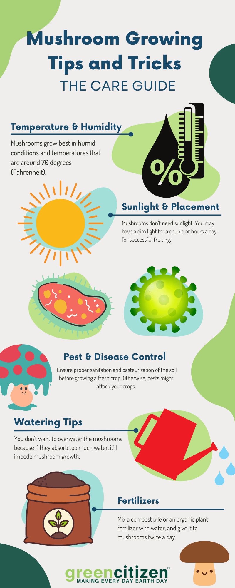 Mushroom growing kit infographic