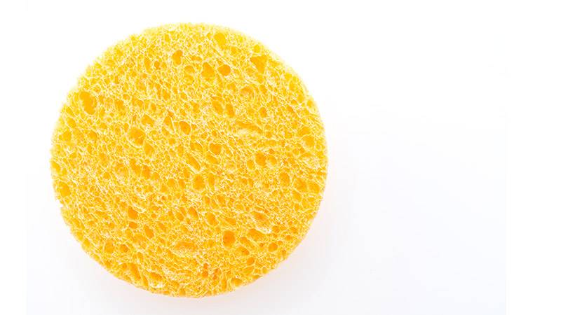 Natural Sponge