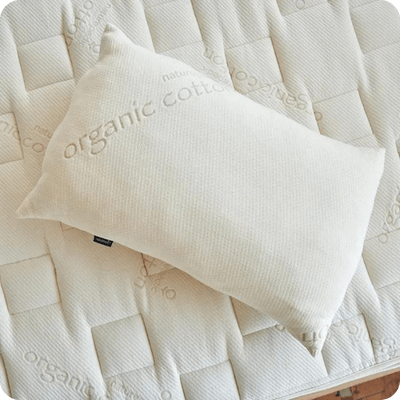 Naturepedic Organic Solid Latex Pillow