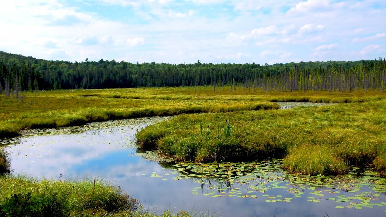 New Nature Preserve In Kentucky After A Decade