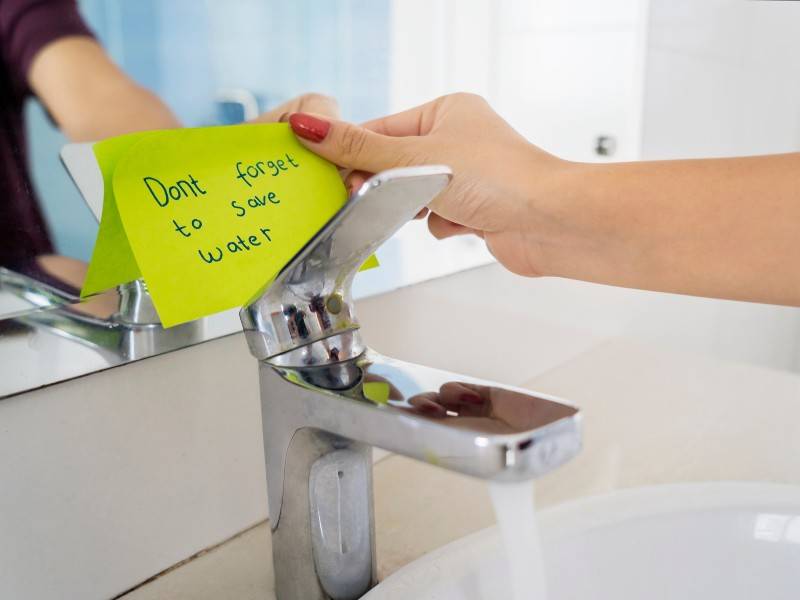 sustainable New Year's Resolutions to save water