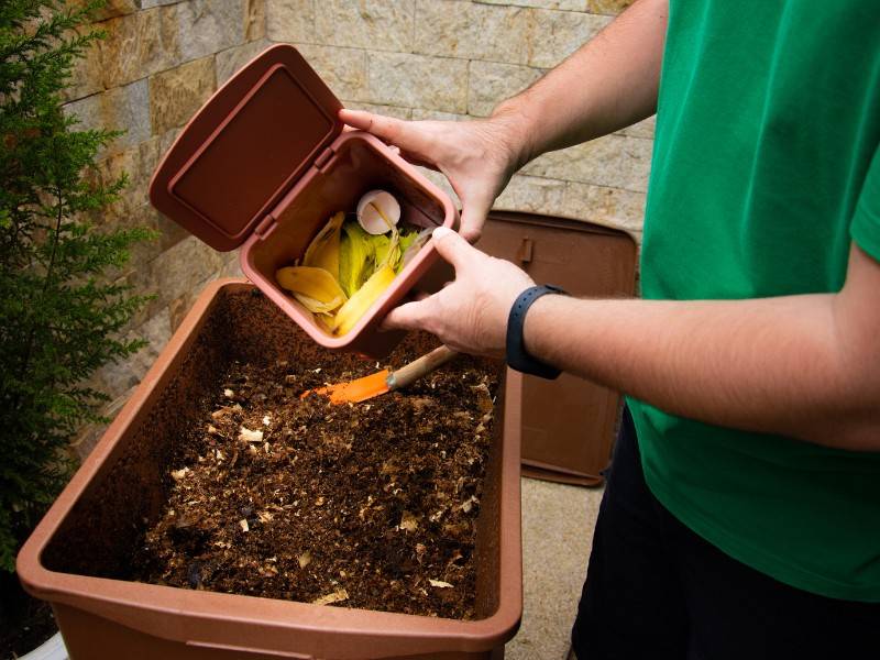 New Years Resolutions to start composting