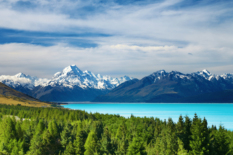 7. New Zealand: Into The Land of Lord of the Rings