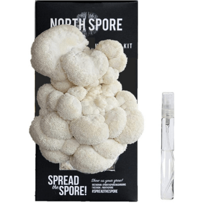 North Spore Lions Mane Oyster Mushroom Grow Kit