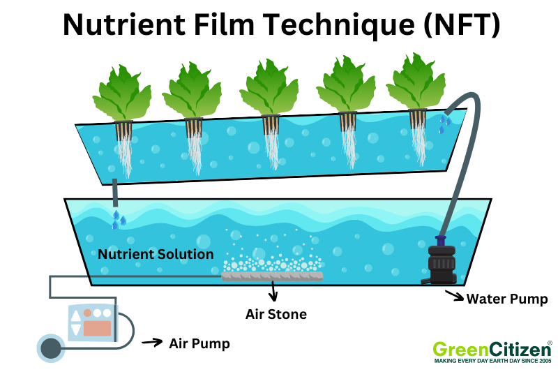 Nutrient Film Technique (NFT)