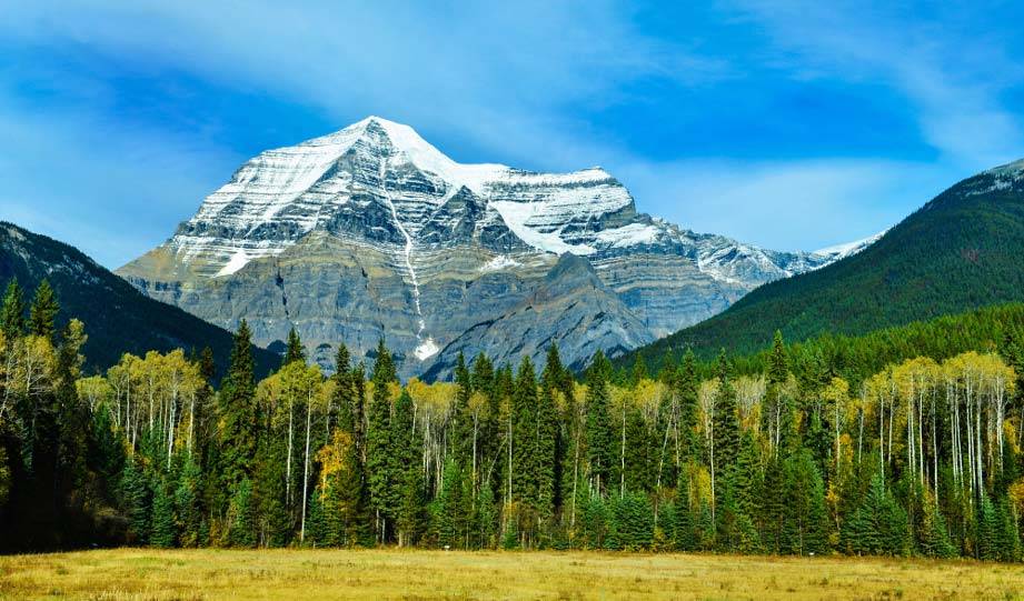 New Okanagan Ecological Corridor Aims To Protect More Wildlife