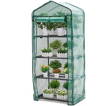 One AMERLIFE 4 Tier Mini Greenhouse