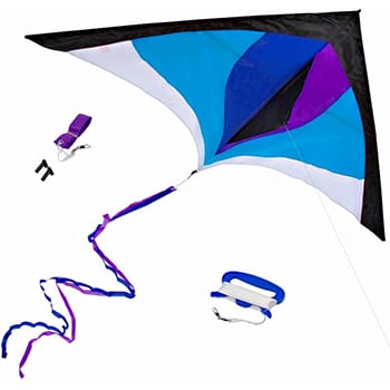 One Best Delta Kite Easy Fly for Kids and Beginners