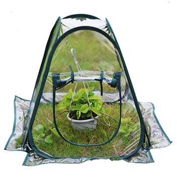 Mini Pop up Greenhouse Small Indoor Outdoor Gardening