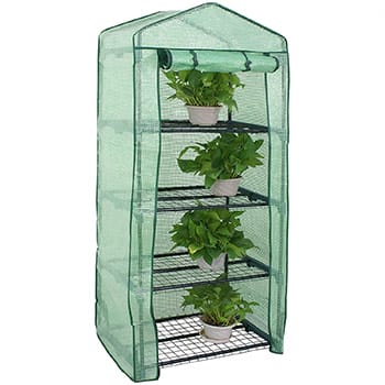 Nova Microdermabrasion Mini Greenhouse