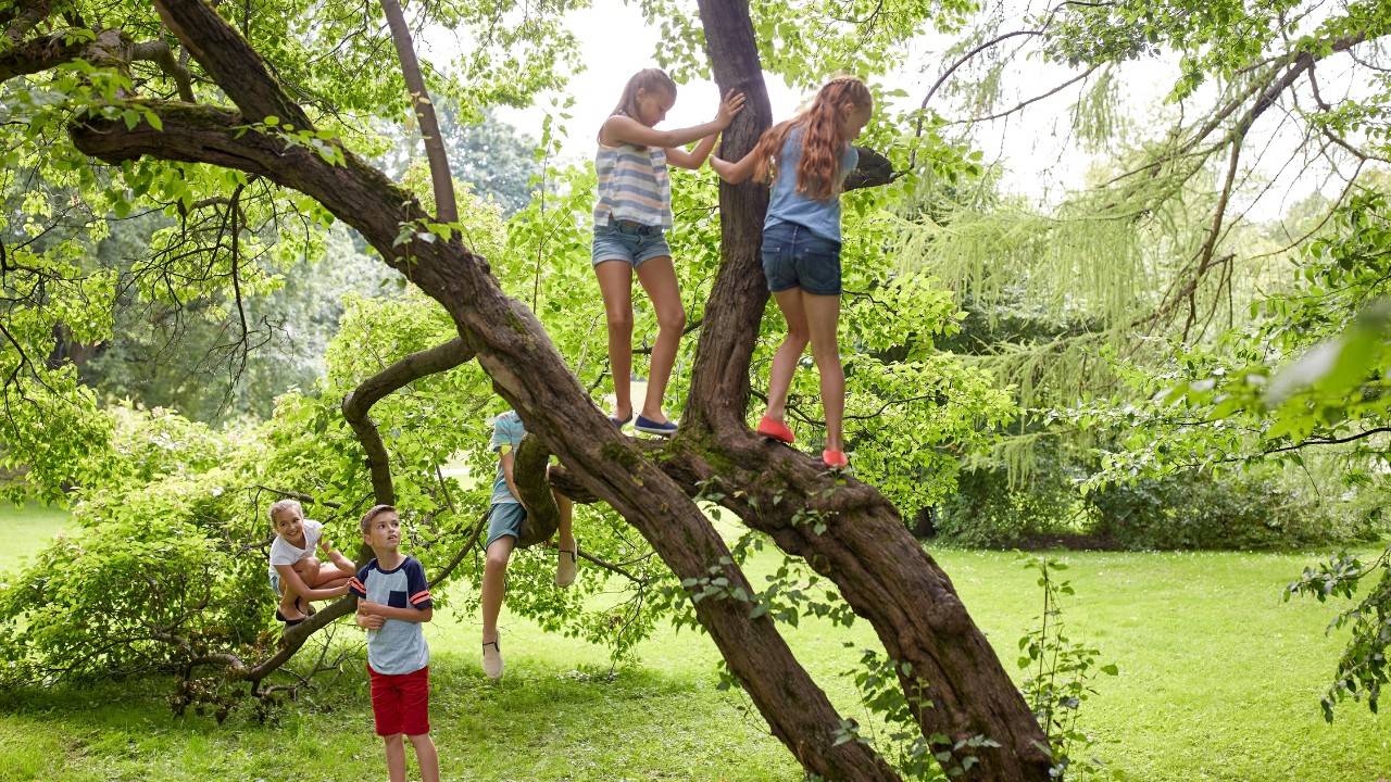 Outdoor Learning Sparks Curiosity And Connection To Education In Difficult Times