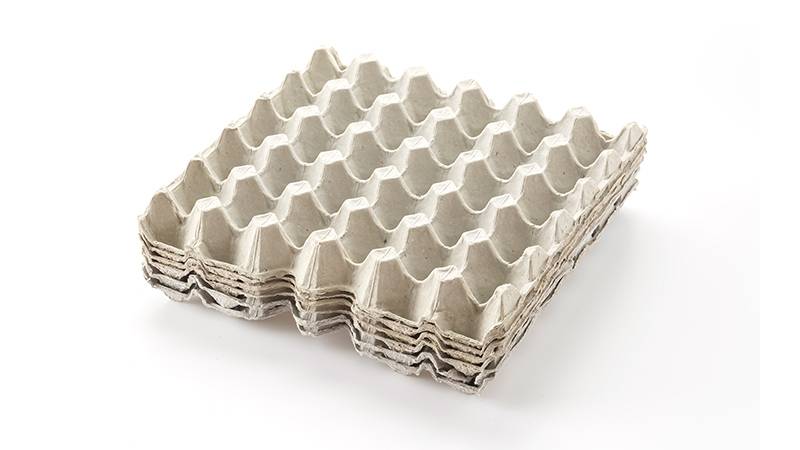 Paper Egg Cartons