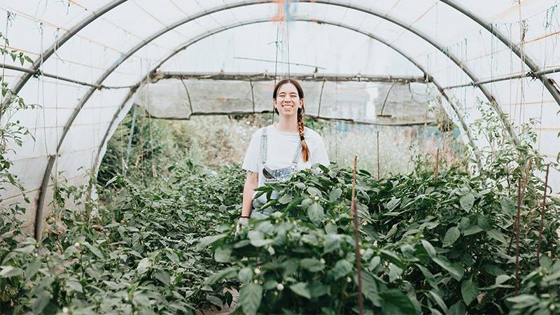 Passion-for-plant-care-and-outdoor-lifestyle-in-a-greenhouse