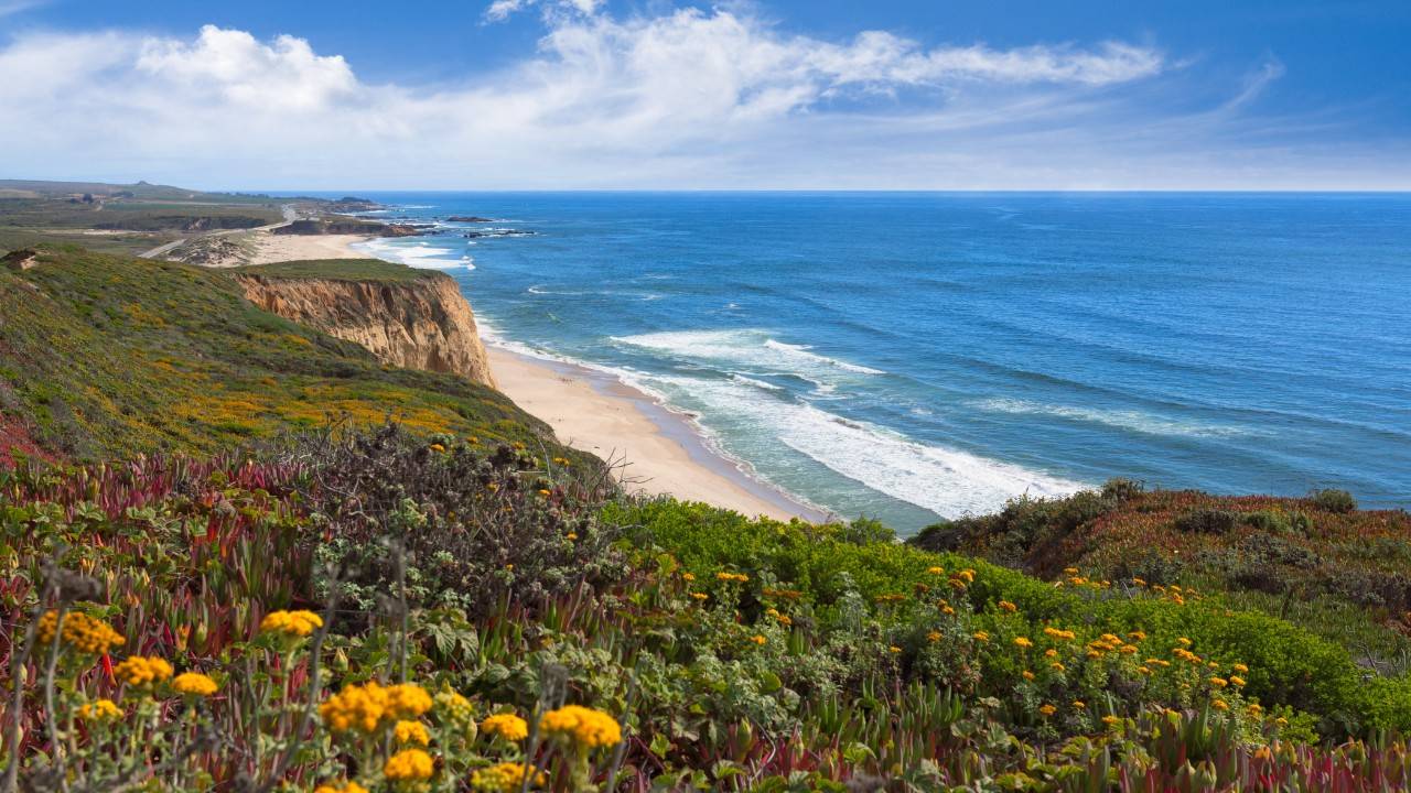 Photography Project Celebrates California Marine Protected Areas In 60 Photographs