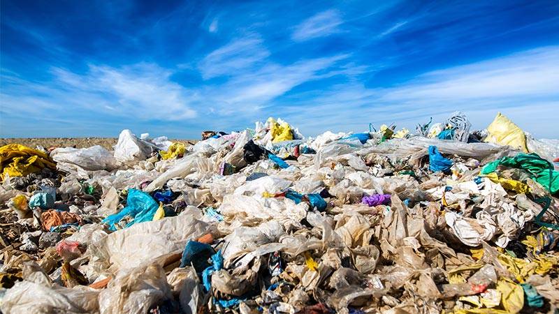 Pioneering Enzyme Revolutionizes Plastic Recycling