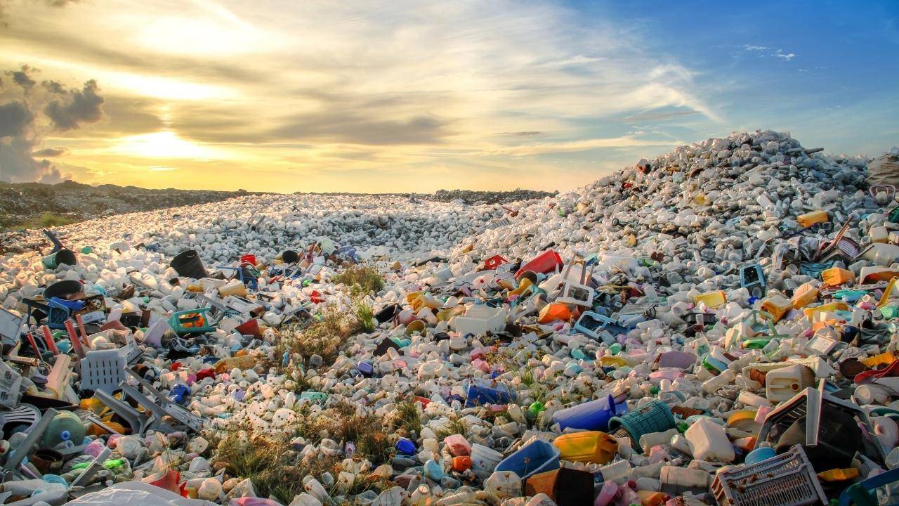 Enzymes Could Be The Solution To Plastic Waste
