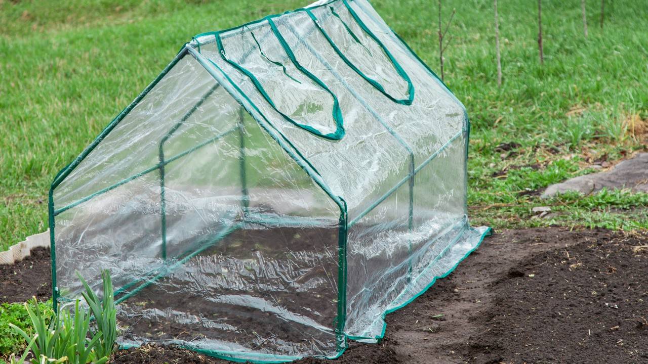 Portable Greenhouse