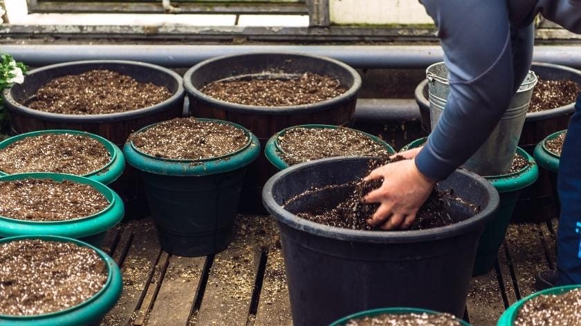 Potting soil for container garden