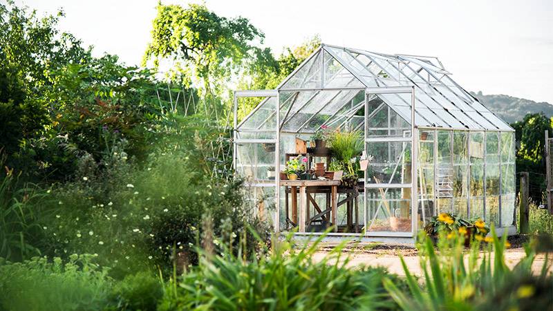 Professional greenhouse vs DIY greenhouse