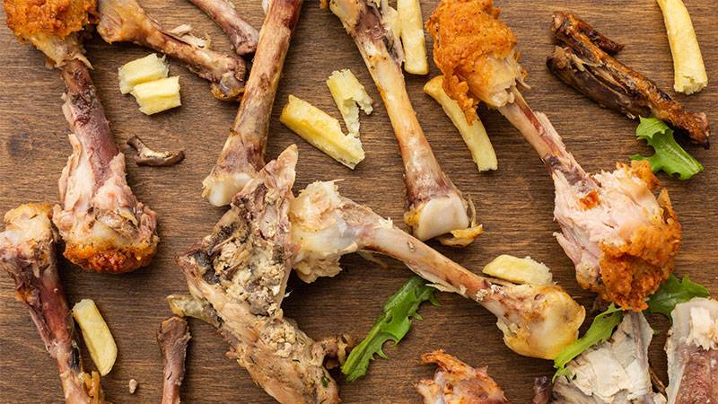 Pros and cons of composting chicken bones