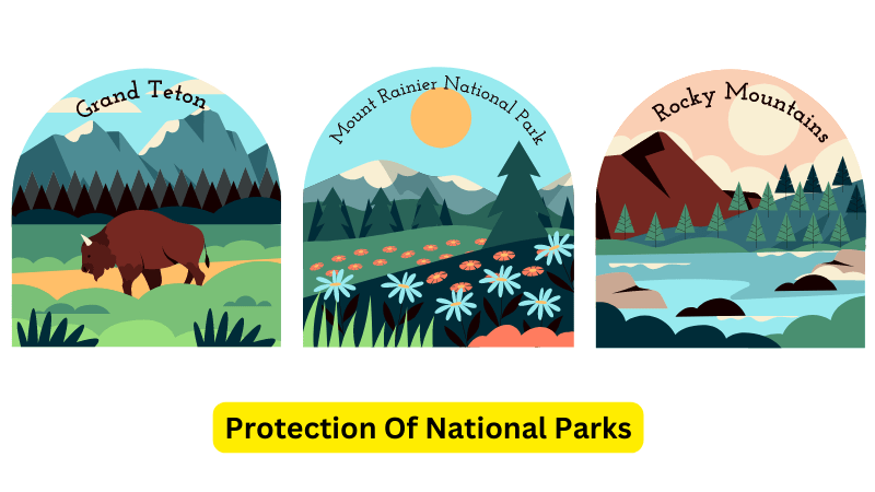 Protection Of National Parks human environment interaction