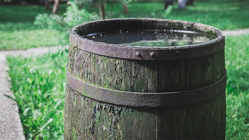 Rain Barrels